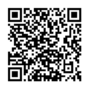 一百个人打得剩下十个人了……老子居然还活着二维码生成