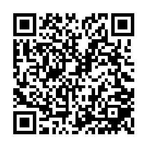 一百四十六种珍稀材料构建而成的六品火系大阵二维码生成