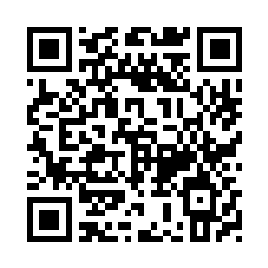 一百颗足够让你的界灵彻底恢复了二维码生成