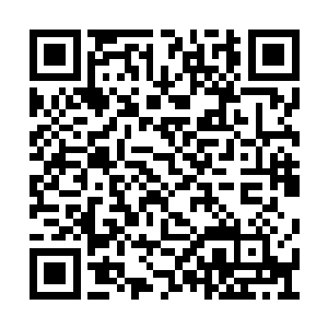 一直以来笼罩在张卫东身上的迷雾从来没解开过二维码生成