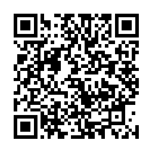 一直以来纪蝶都只是认为叶楚未能感悟突破到玄元境的契机二维码生成