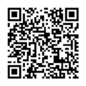 一直保持步行的巴克用这样的猜度来化解自己对眼前场面的震撼二维码生成