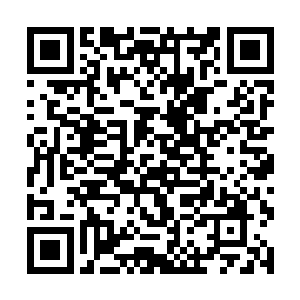 一直保持沉默的闻淑珍似乎刚明白过来他们在说什么二维码生成