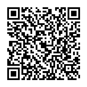 一直充当静止布景的杨元昭这个时候连忙从口袋里摸出纸巾递给白云中二维码生成