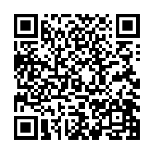一直到外面真的有出租车停到我的身旁我的手机还十分的安静二维码生成