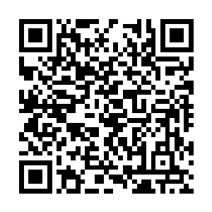 一直到昨天中午演完舞台剧我都还在原本的身体里二维码生成