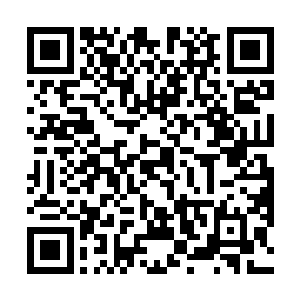 一直到秦方终于发现麻生野的气机开始出现紊乱的时候二维码生成
