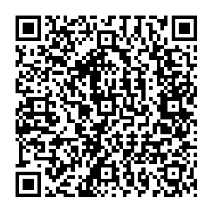 一直只能静静坐靠在越野车后座上的巴克又看不懂外面偶尔经过村庄那些弯弯绕绕的阿拉伯文字二维码生成