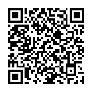 一直听着的褐土大婶等原来飞龙部落的人都一下子围了上来二维码生成