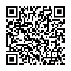 一直喜欢拎着个小酒壶在野蛮人部落里蹭吃蹭喝的家伙二维码生成