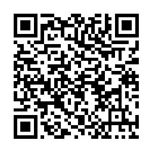 一直在外面替紫宵剑宗护道的万剑仙宗的仙尊是极力劝说二维码生成
