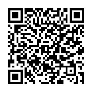 一直在紧张的观察着孙子轩情况的琼丝大声的叫了起来二维码生成