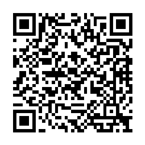 一直守在他身边的宁天皓和林若羽不可能不知道二维码生成