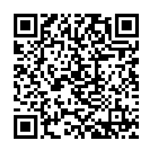 一直有心想看一出龙虎斗好戏的刘飞也终于坐不住了二维码生成