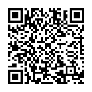 一直沉静无波的气海因为受到了强烈的冲击地迅速地运作起来二维码生成