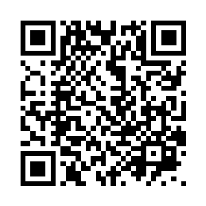 一直沉默的黄埔飞听到这句话突然暴起二维码生成