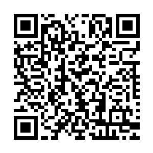 一直没有涟漪的那轮完满明月内传出了金皇那飘渺神圣的声音二维码生成