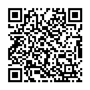 一直没睡觉的老贺头更是在第一时间就跑向贺雨的方向二维码生成