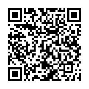 一直站在路边看着的第一法老在这一刻却是突然开口了二维码生成