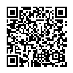 一直维持了这么久的百丈龙躯也在这一瞬间散去二维码生成