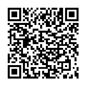 一直说到了现在为什么在南都开了这么一家面馆二维码生成