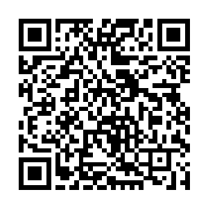 一直躲在金甲卫中的那些鼻罗们原本还想仗着有翅膀二维码生成