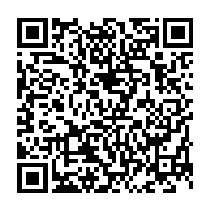 一直这样不间断的养下去可比每到雪天之前就全都变成腌制食物强多了二维码生成