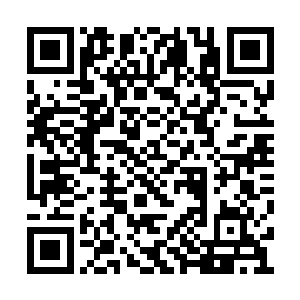 一直都没有动她就是因为我认为她还有利用价值二维码生成