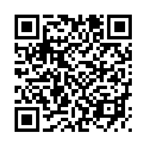 一直都盯在仇仲谋和仇仲勋的身后二维码生成