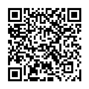 一直隐匿在空间之中的启天再一次进入了我的神识海中二维码生成