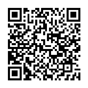 一直静静立在那由其头顶火红光球形成的无水真空空间之内二维码生成