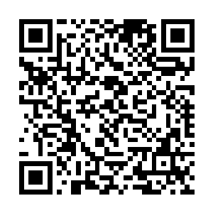 一直驻守在山顶没有离开的雪狼们好像感应到了什么二维码生成