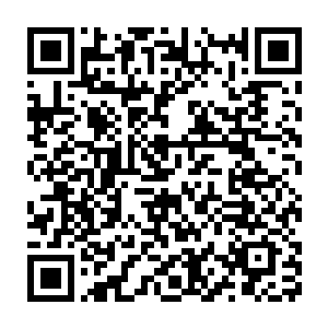 一看就看到了这几个女人并不是刚刚陪城主下去接自己的几个夫人二维码生成
