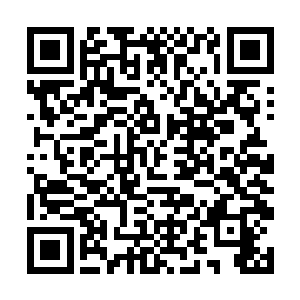 一看就知道比严不问和那文韬做的高超多少倍都不知二维码生成