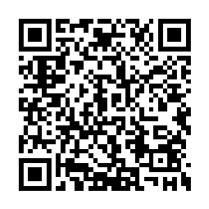 一看某个丫头依旧够着脖子一眨不眨的望着他笑二维码生成