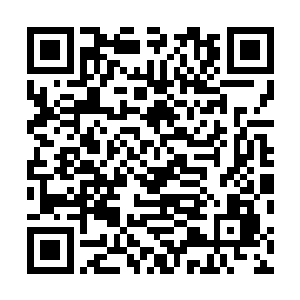一眼所及的就是三头身的师丝桐正抱着一根和他一般长度二维码生成