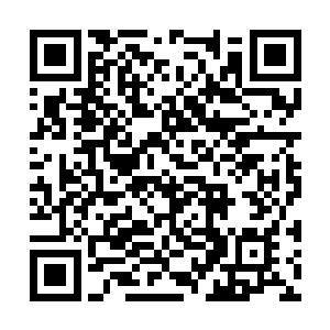 一种想要吻上苏小爱三月桃花一般的脸蛋儿的冲动二维码生成