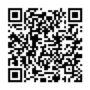 一筐筐热乎乎的肉饼还有一笼笼大肉包子抬了上来二维码生成