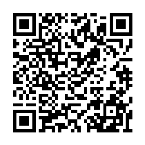 一网下去再拉出来网里面就一堆蹦跶的厉害的鱼二维码生成