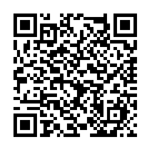 一群不能在阳光下生存的身影在夜幕的掩护下活动二维码生成