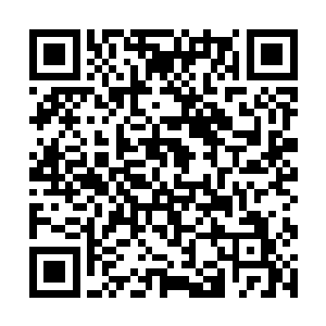 一群在农田里装模作样的女人们顿时没了应付的兴趣二维码生成