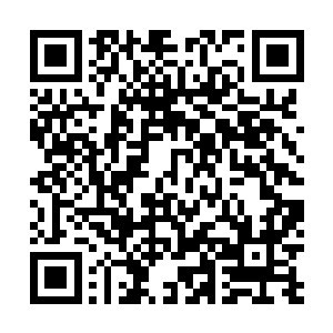 一群尚未突破不朽就已经能与不朽强者所抗衡的超级天才二维码生成