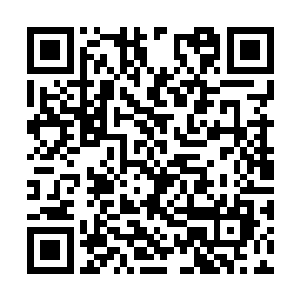 一群武装分子闯进了俄罗斯在新地岛的核试验基地二维码生成