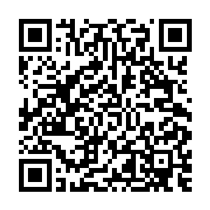 一群穿着与楚京和北境大军截然不同的士兵朝着这边杀了过来二维码生成