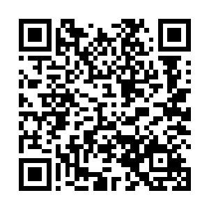 一群身材高挑漂亮非常的女人拖着行李箱向这边走过来二维码生成