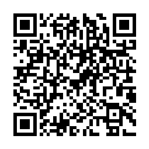 一群雷火翼蛇振翅朝着这群天转境的强者冲了上去二维码生成