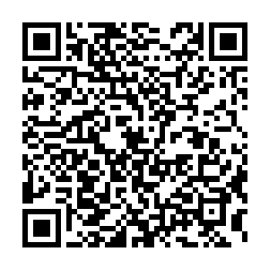 一群骑着马的人簇拥着一辆马车朝着一间隐匿在深巷里的庭院赶去二维码生成