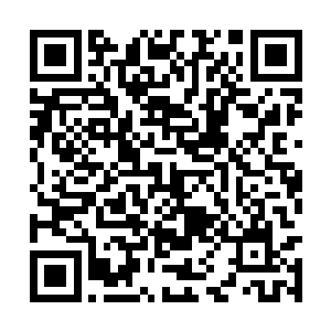 一股一道道恐怖的雷蛇也不断的在虚空之中的翻滚二维码生成