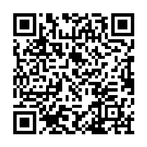 一股乳白色的元气突然从秦方的真气中冒了出来二维码生成