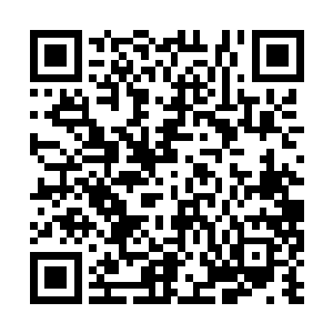 一股嗜血狂暴充满毁灭的气息也是从上面散发出来二维码生成